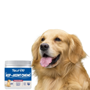 6aefc32a-1f75-43d4-83e0-a461bb74e2af__1_-removebg-preview.png Youmile Hip+Joint Chews – Glucosamine Chondroitin for Dogs | 120 Soft Chews